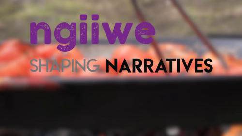 'Shaping Narratives' TV Series Nominated for Michigan Emmys